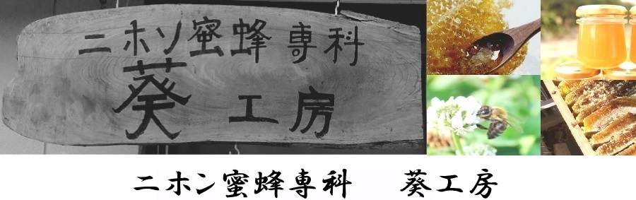 在庫あり/即出荷可】 安心の日本みつばち 高濃度82％ 春採はちみつ